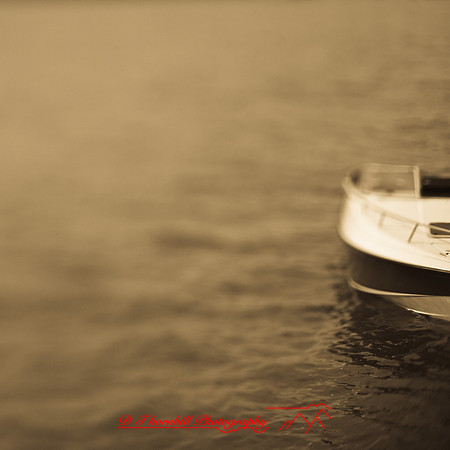 assorted-images_2013-029