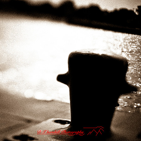 assorted-images_2013-031