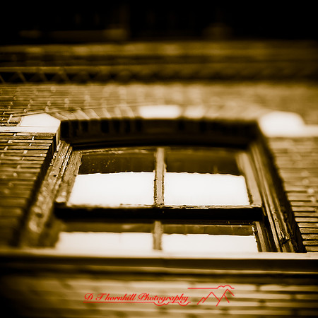 assorted-images_2013-015