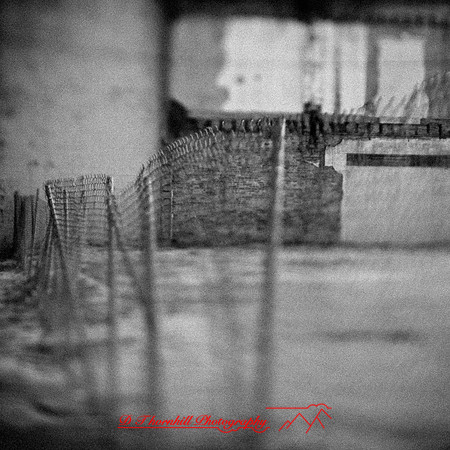 assorted-images_2013-019