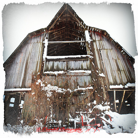 assorted_images-2012-163-nas