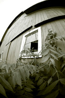 bird-farm_june-2006_50