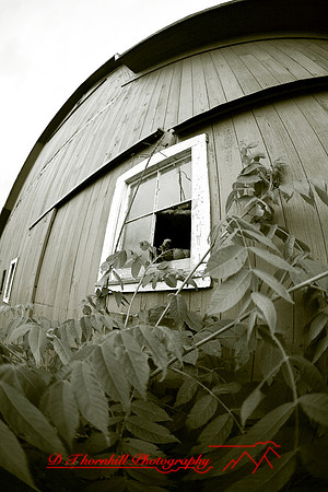 bird-farm_june-2006_50