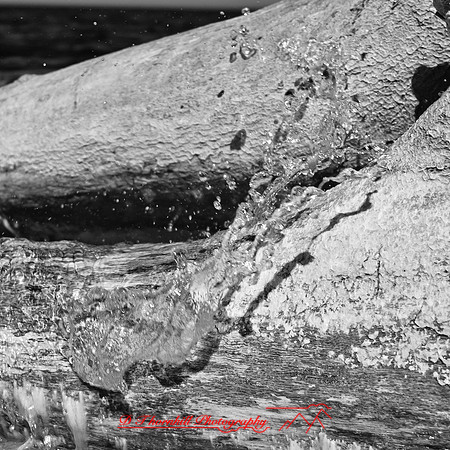 port_crescent_state_park-infrared_2013-014