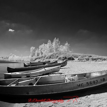 port_crescent_state_park-infrared_2013-015