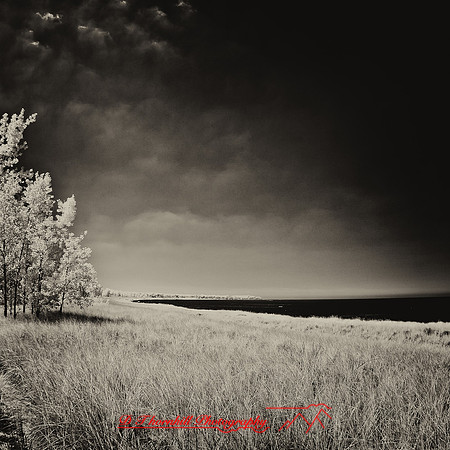 port_crescent_state_park-infrared_2013-019-nas