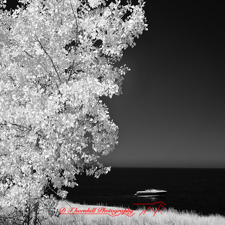 port_crescent_state_park-infrared_2013-008