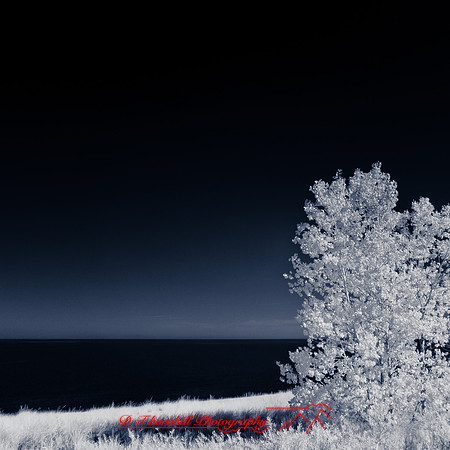 port_crescent_state_park-infrared_2013-001