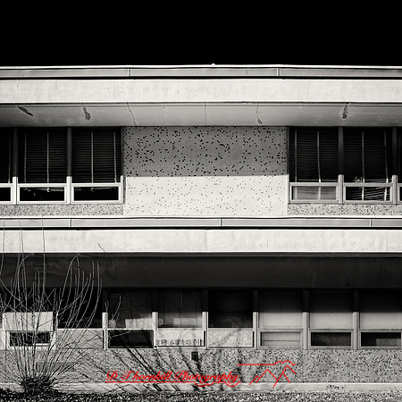 JOHN MOORE - WEB - 008_DxO-nik-ps-ai