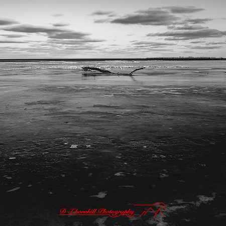 shadow-light-project-bay-city-state-park-2014-014