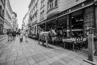 2025 - river cruise - 588