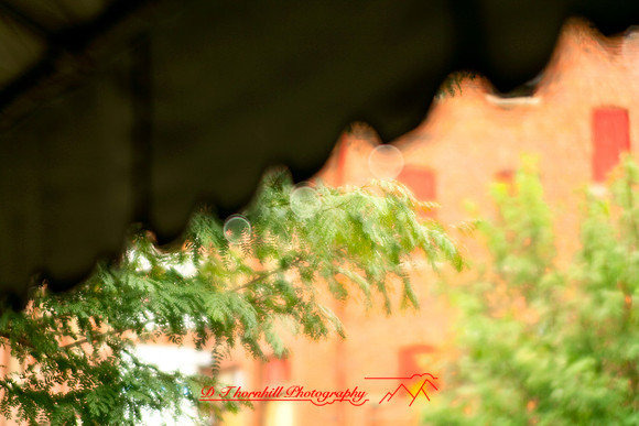 assorted_images-2007-45