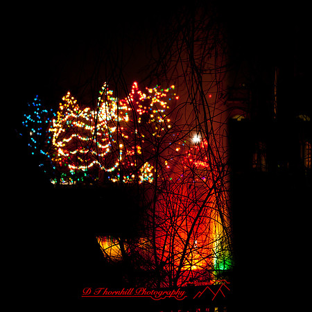 saginaw_christmas_2012-010