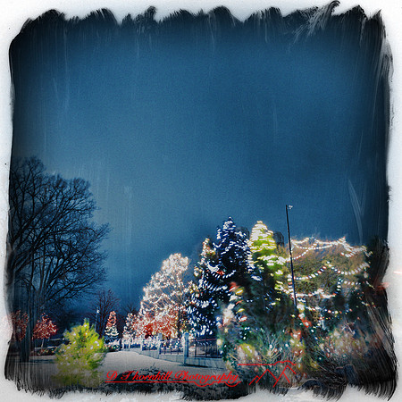 saginaw_christmas_2012-001-nas