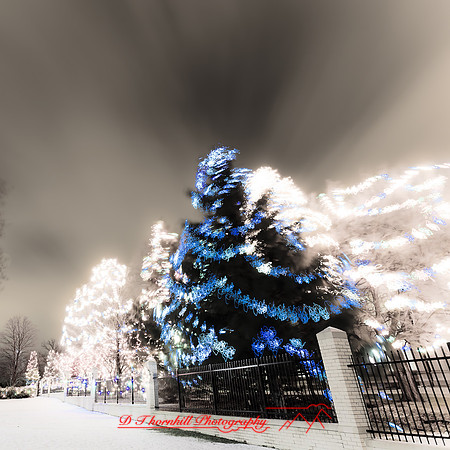 saginaw_christmas_2012-002