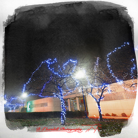 saginaw_christmas_2012-004-nas