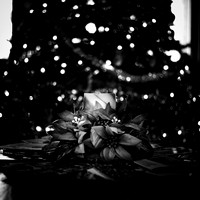 leica - christmas - 2022 - 002-nik-ps-ai
