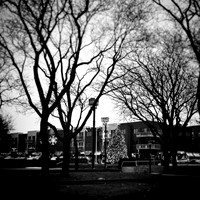 leica - christmas - 2022 - 006-nik-ps-ai