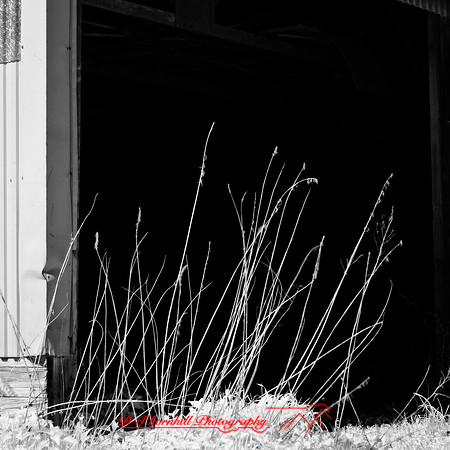 infrared_images_2013-013