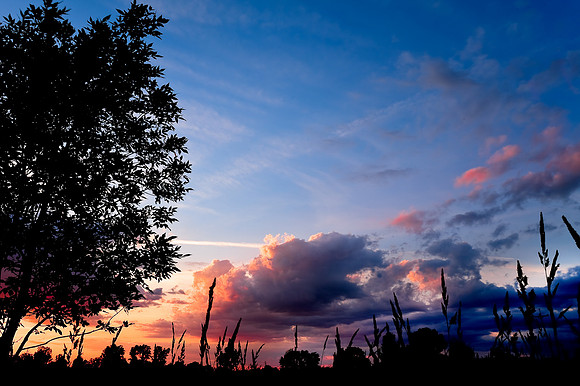 shiawassee-june-hdr-2008_03