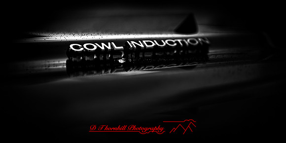 frankenmuth car show 2019 015_DxO