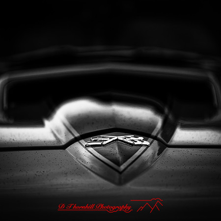 frankenmuth car show 2019 017_DxO
