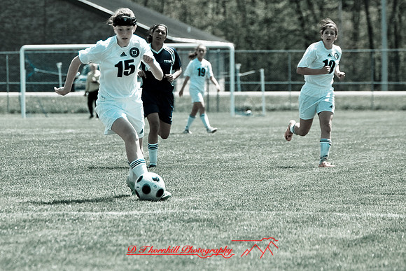 jghs-gs-avondale-2009_24.jpg
