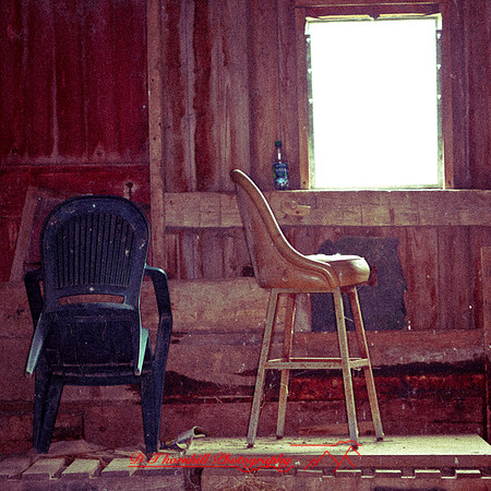 bird_farm_images_2013-027