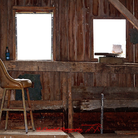 bird_farm_images_2013-028