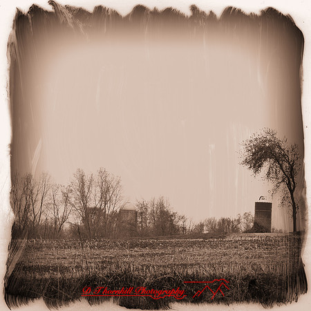 bird_farm_images_2013-031-nas