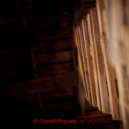 bird_farm_images_2013-033