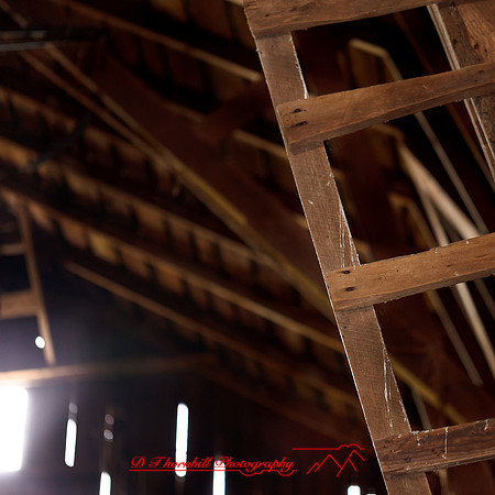 bird_farm_images_2013-034