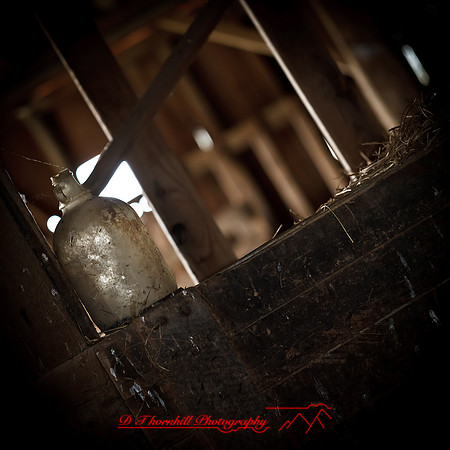bird_farm_images_2013-036