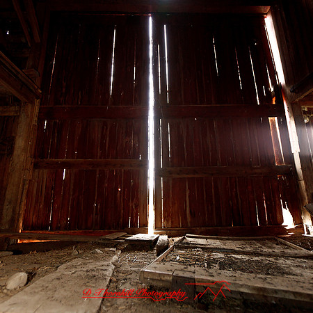bird_farm_images_2013-037