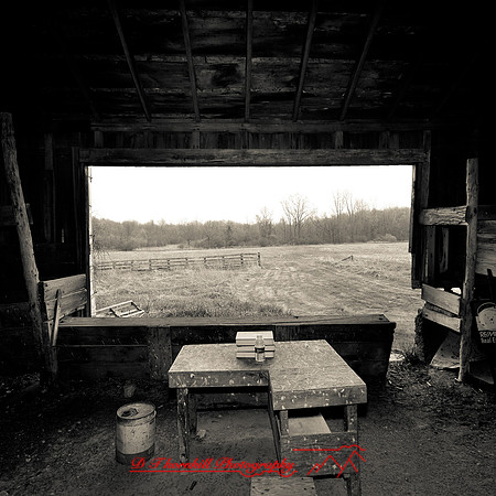 bird_farm_images_2013-041