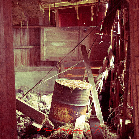bird_farm_images_2013-022