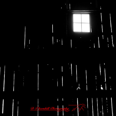 bird_farm_images_2013-023
