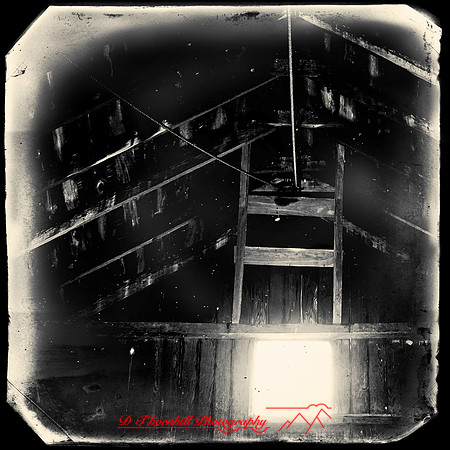 bird_farm_images_2013-024-nas
