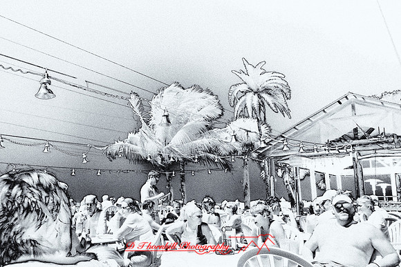 florida-2008-people-infrared_22-nik.jpg