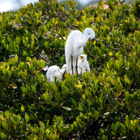 florida-2013-images-092