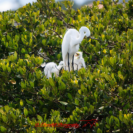 florida-2013-images-092