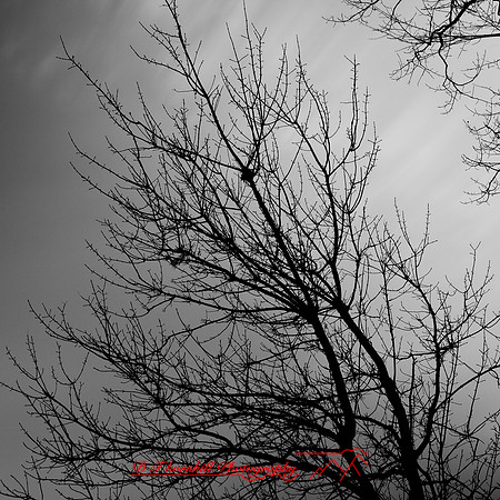 long_exposure_images_2013-021