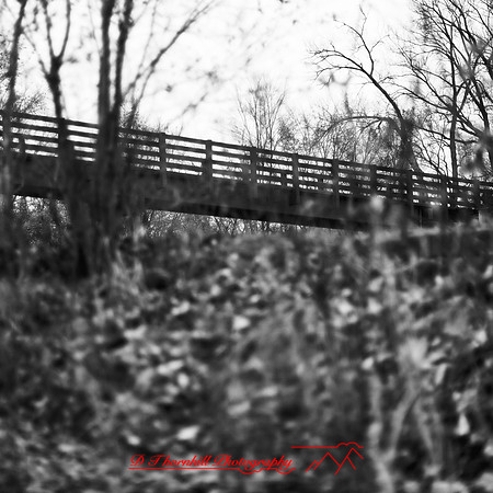 long_exposure_images_2013-023