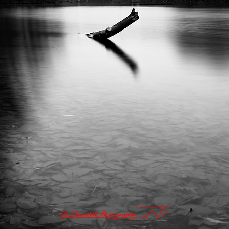 long_exposure_images_2013-022