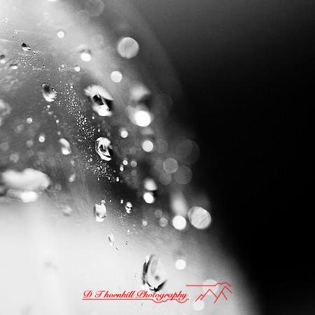 assorted-images_2013-037-nas