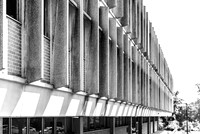 2023 ramdom walk about photo - 009