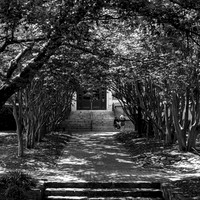 2023 ramdom walk about photo - 010