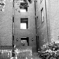 2023 ramdom walk about photo - 013