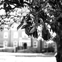 2023 ramdom walk about photo - 014
