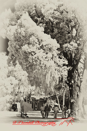 florida-2008-people-infrared_37-nik.jpg